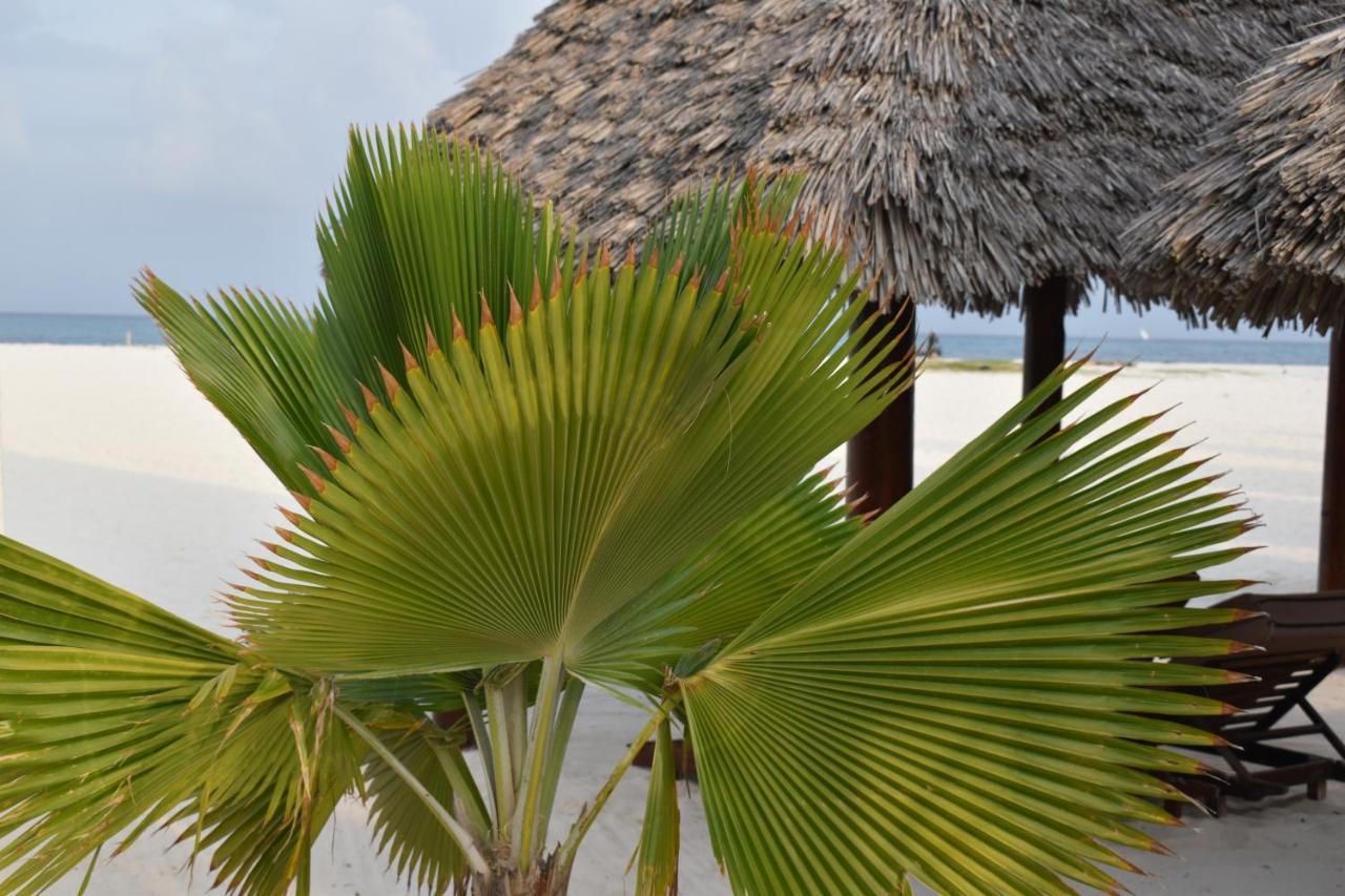Kendwa Beach Resort Exterior foto